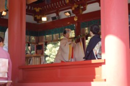 鎌倉鶴岡八幡宮での結婚式の写真。